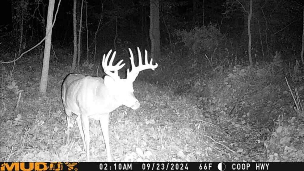 More Photos Of West County Road 350 South, Connersville Land For Sale