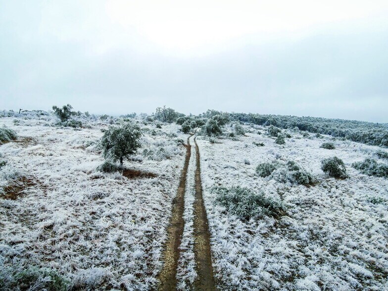 More Photos Of 21650 FM 1431, Lago Vista Land For Sale