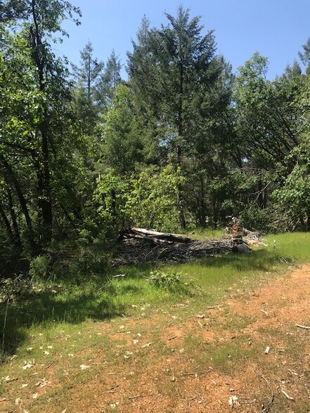 More Photos Of Canyon Creek Drive -1 @ Canyon Way, Colfax Land For Sale