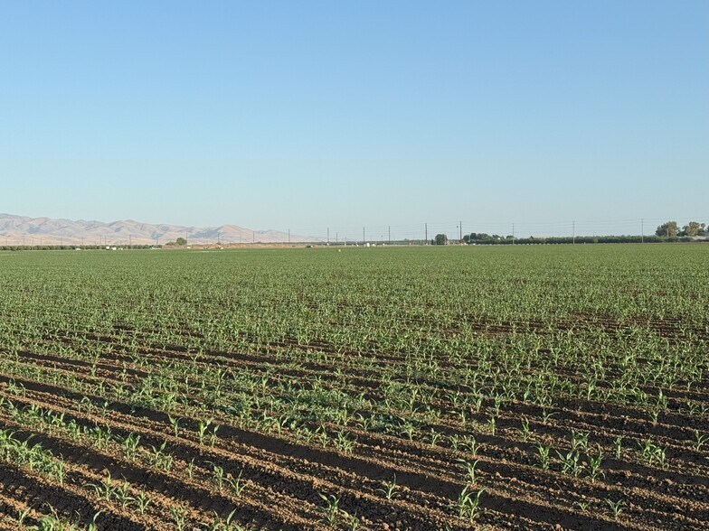 More Photos Of 19054 CA-33, Crows Landing Land For Sale