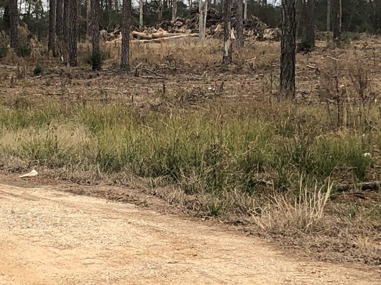 More Photos Of 11900 Seven Coves Rd, Willis Land For Sale