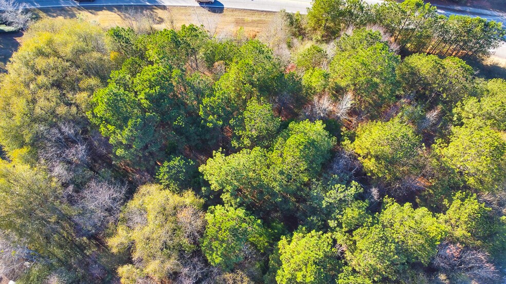 More Photos Of 0 McDonough Pky, McDonough Land For Sale