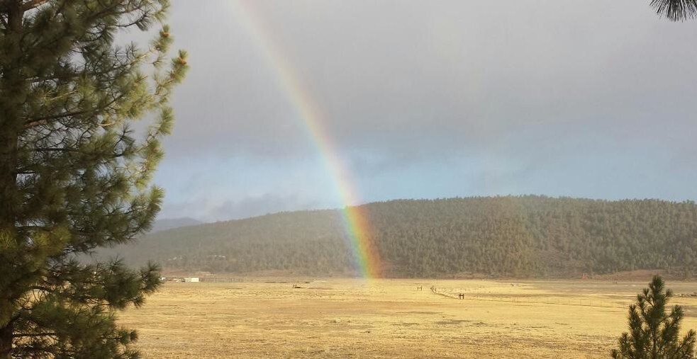 Primary Photo Of 2805 Cedar, Big Bear City Land For Sale