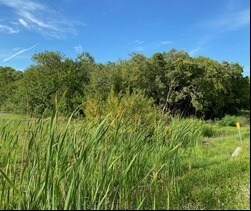 More Photos Of 12001 Gandy Blvd, Saint Petersburg Land For Sale