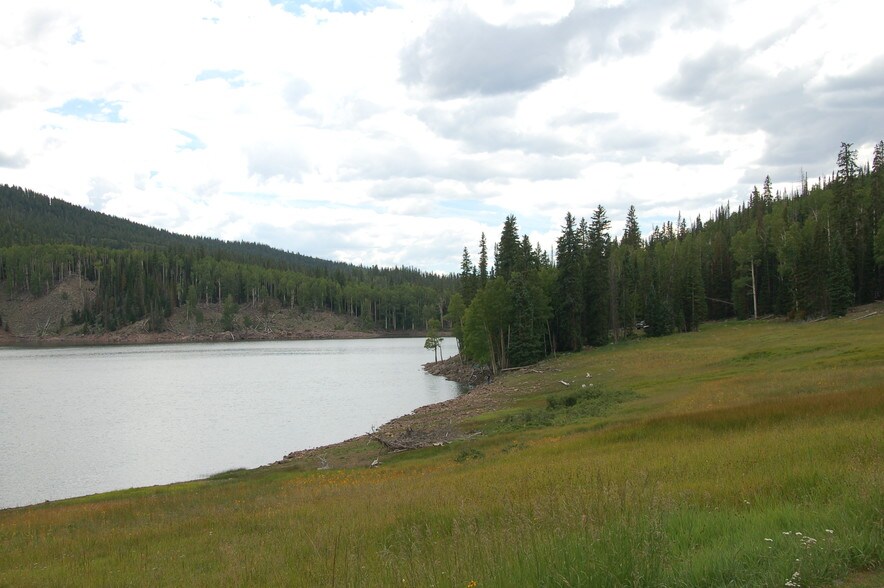 More Photos Of Lake Beaver E, Beaver Land For Sale