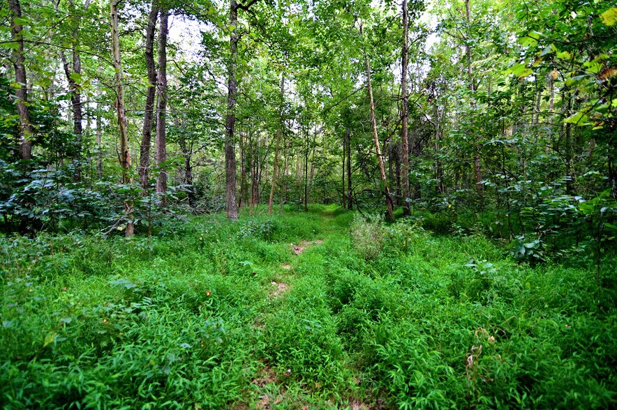 More Photos Of Cues Favorite @ La Plata Rd Route 488, Waldorf Land For Sale