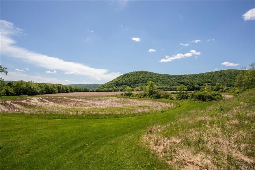 More Photos Of 6122 Mutton Hollow Rd, Great Valley Land For Sale