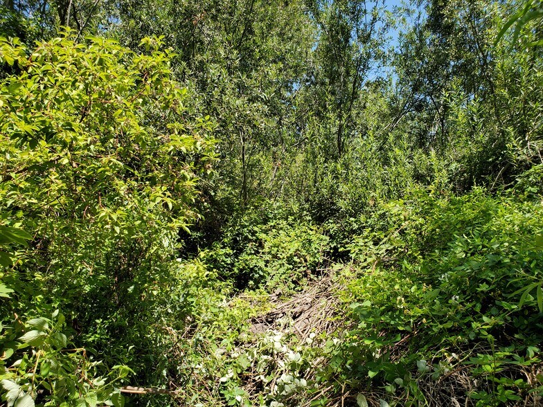 More Photos Of 11330 W Spud Is, Stockton Land For Sale