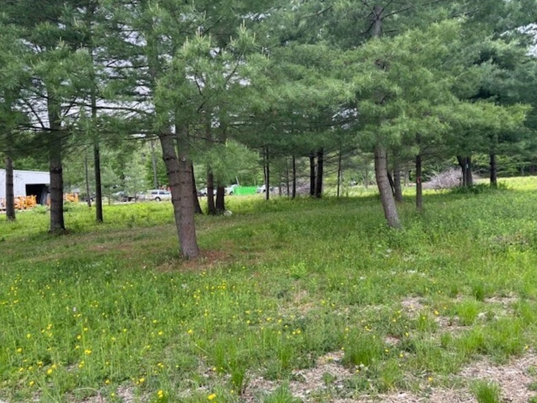 More Photos Of 342 Bantam Rd, Litchfield Land For Sale