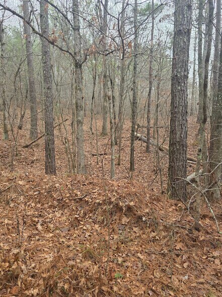 More Photos Of 221 East Lane Ln, Oneonta Land For Sale