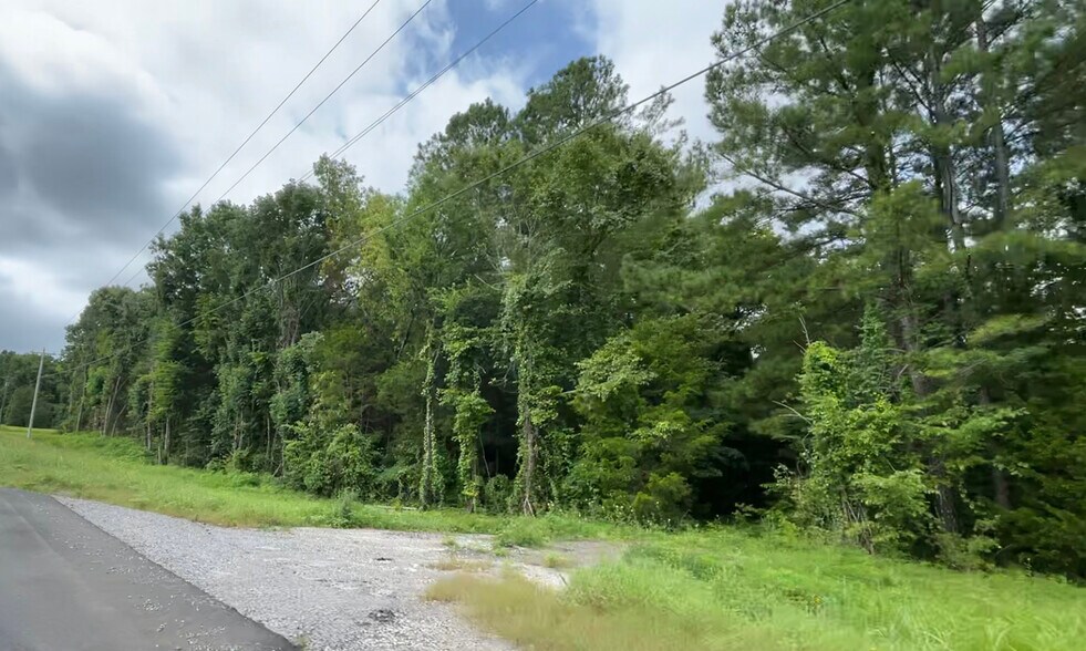 More Photos Of 2915 Highway 31 SW, Hartselle Land For Sale