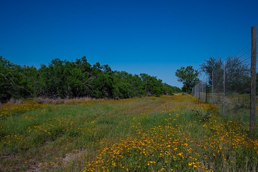 More Photos Of 141 S Private Road 1026, Kingsville Land For Sale