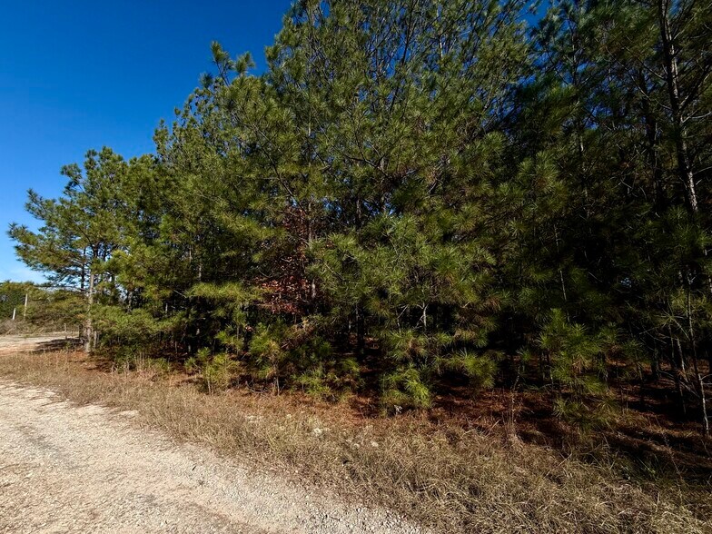 More Photos Of 4212 US Highway 378 W, Mc Cormick Land For Sale