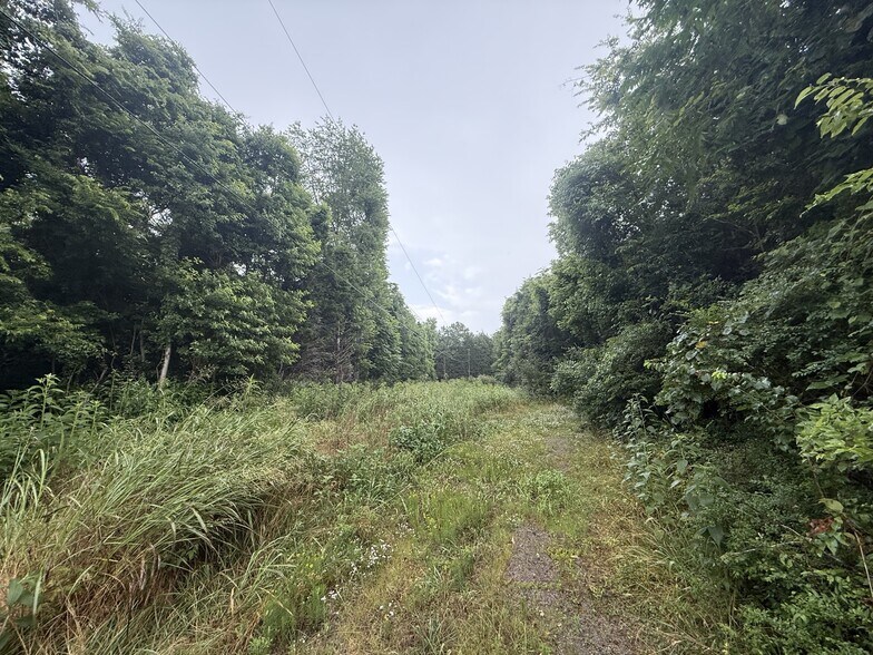 More Photos Of 9800 Florence Rd, Smyrna Land For Sale