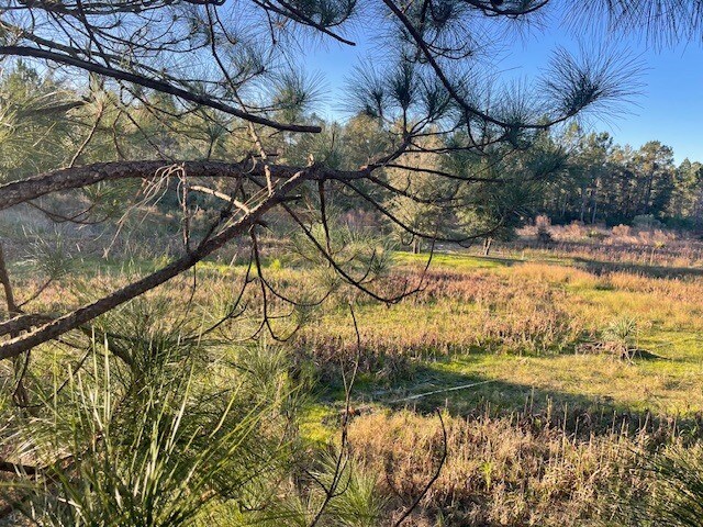 More Photos Of Redlands Dr, Deland Land For Sale