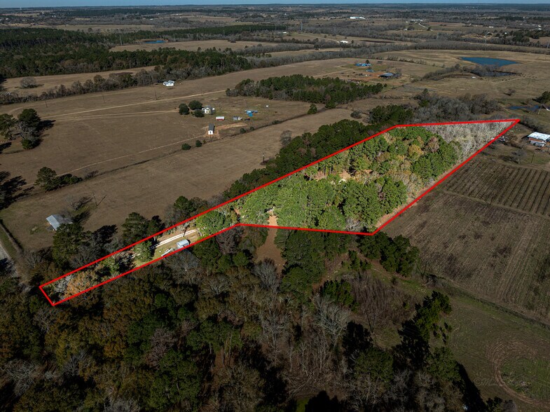 More Photos Of 11201 County Road 203, Plantersville Specialty For Sale