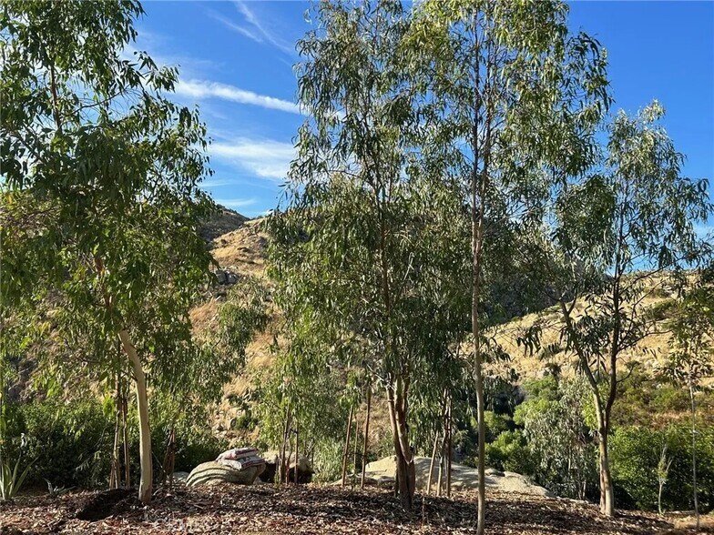 More Photos Of CA-371, Aguanga Land For Lease