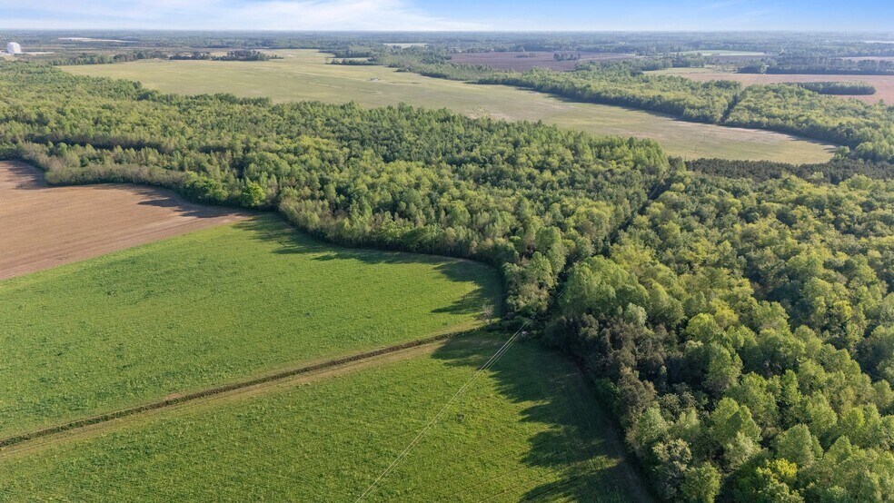 More Photos Of 492 Doc Henderson Rd, Maxton Land For Sale