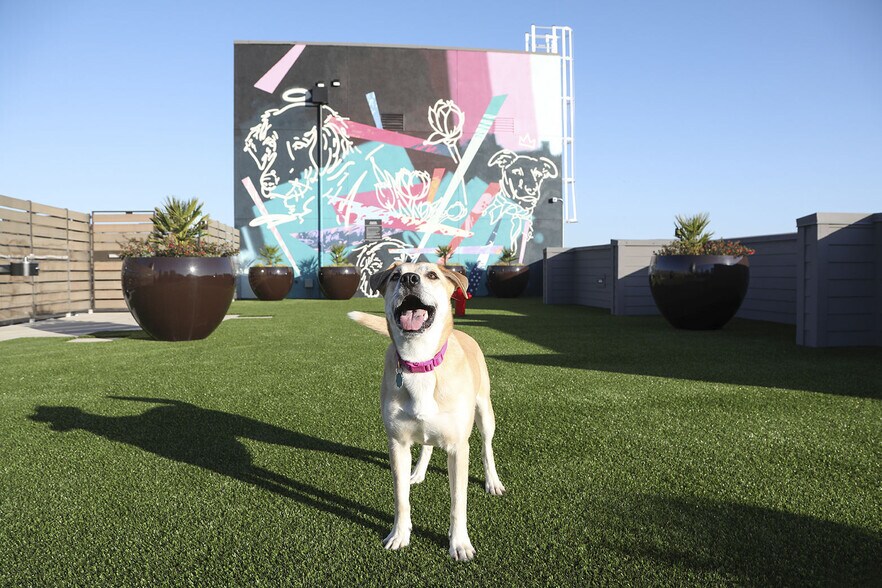 More Photos Of 1100 Webster St, Oakland Apartments For Lease