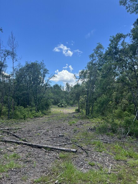 More Photos Of 1650 Withlacoochee Trl, Dunnellon Land For Sale