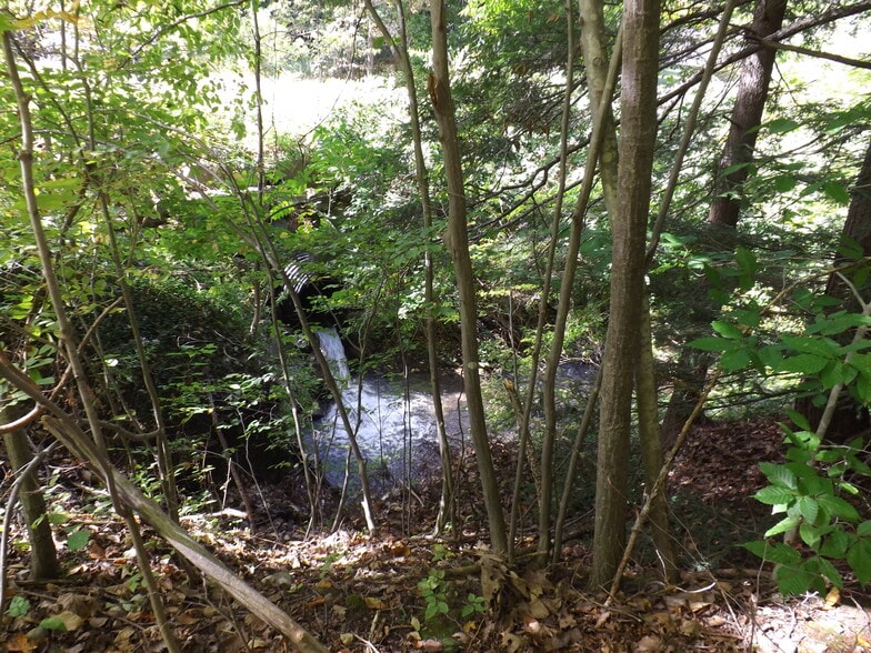 More Photos Of 0 Main St, Hunt Land For Sale