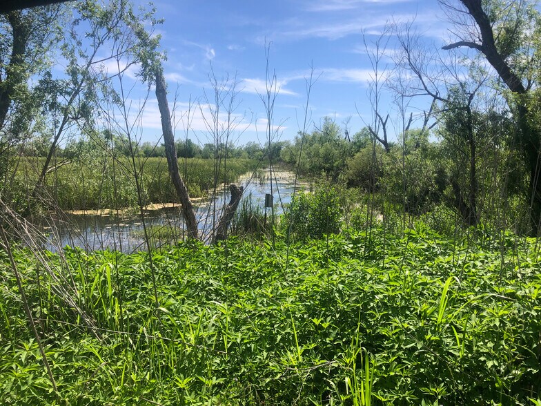 More Photos Of TBD County Road 210, Danbury Land For Sale