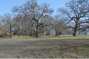 More Photos Of 915 E Cedar Creek Pky, Seven Points Land For Sale