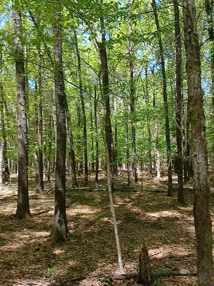 More Photos Of 414000 E 1920 Rd, Antlers Land For Sale