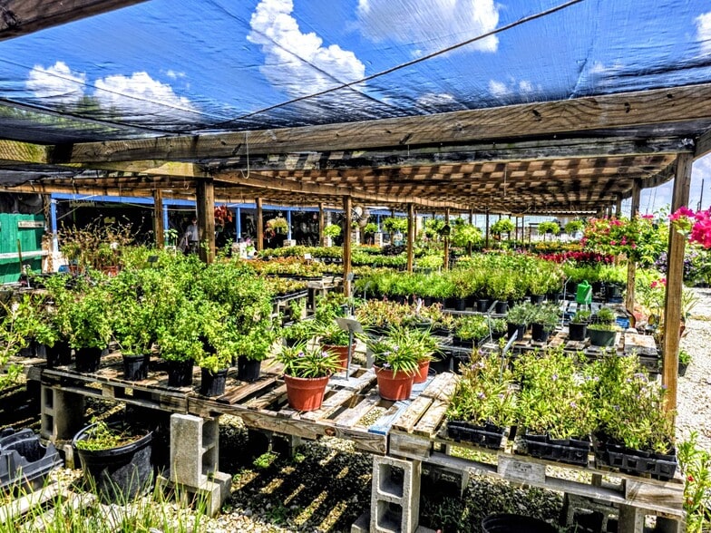 More Photos Of 20698 Eva St, Montgomery Garden Center For Lease