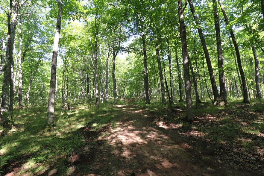 More Photos Of 35480 Whitetail Ave, Bayfield Land For Sale