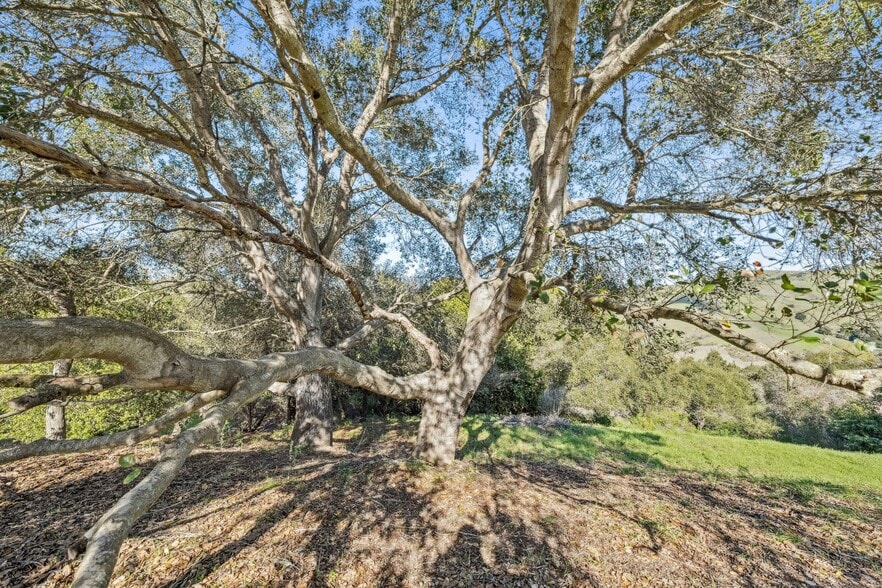 More Photos Of 0 Fairview Rd, Richmond Land For Sale