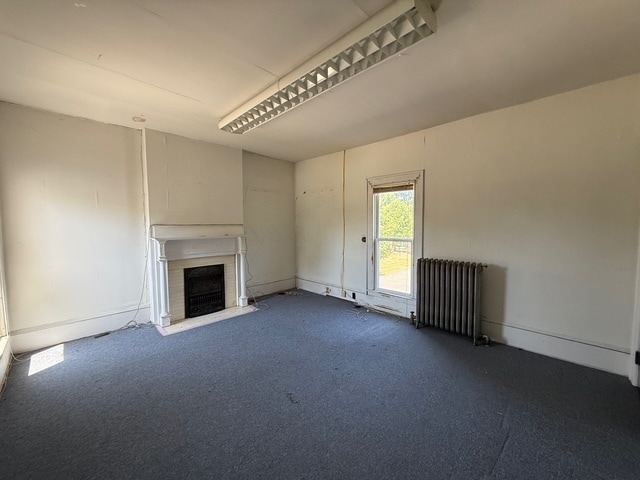 More Photos Of 119 S Eagle St, Geneva Winery Vineyard For Sale