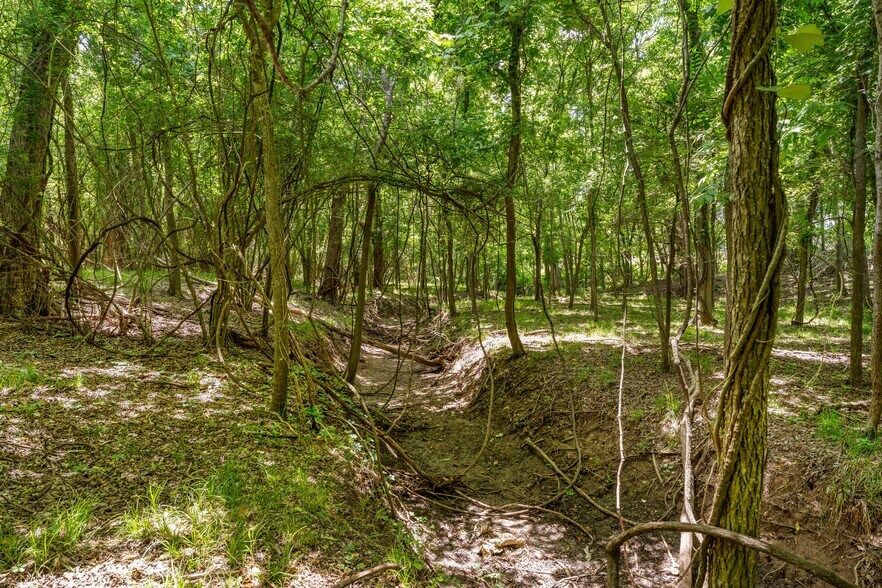 More Photos Of 10840 FM 442, Boling Land For Sale
