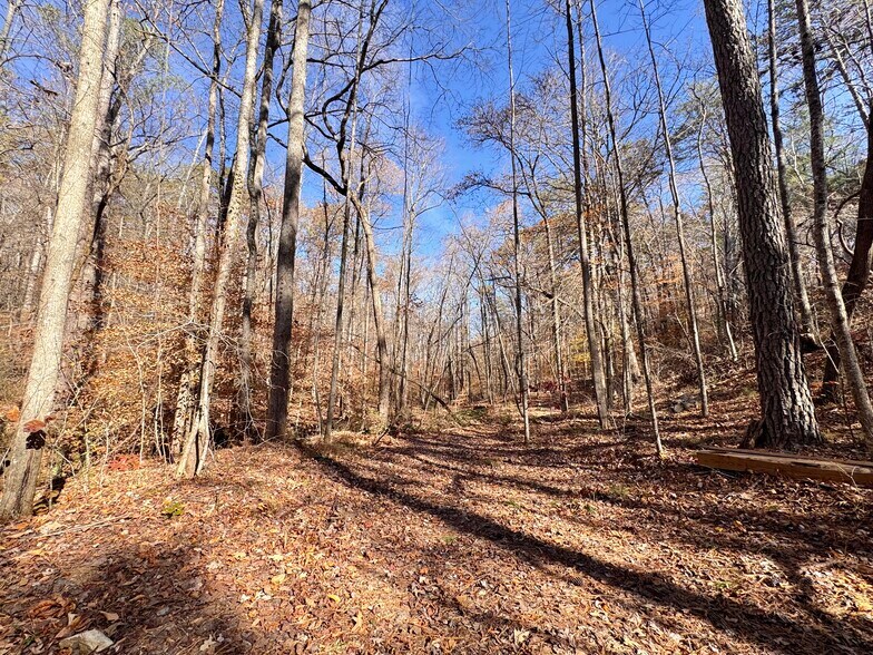 More Photos Of 536 Vayhaus Trl, Ellijay Specialty For Sale