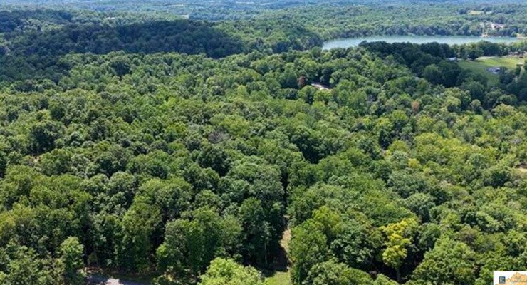More Photos Of 0 Wilderness Road, Mammoth Cave Land For Sale