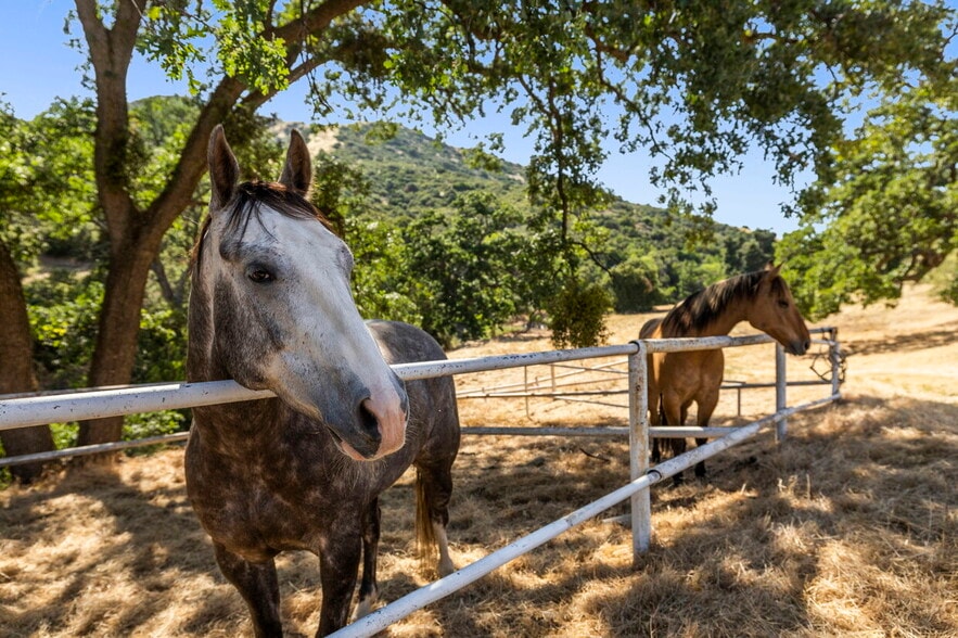 More Photos Of 36059 Golden State Hwy, Castaic Lodge Meeting Hall For Sale