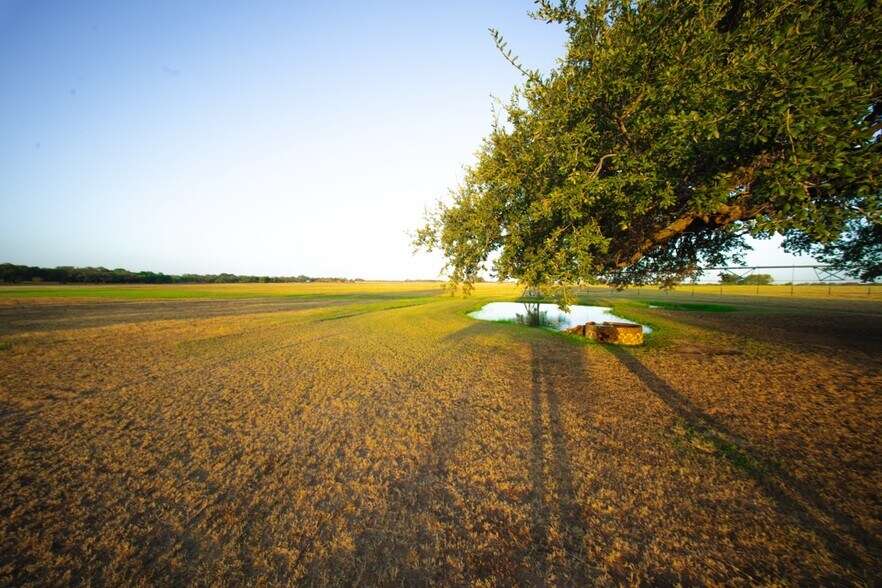 More Photos Of 1769 FM 536, Pleasanton Land For Sale