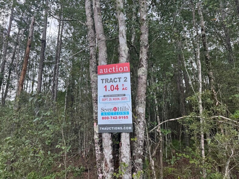 More Photos Of Noah Raulerson Road, Sanderson Land For Sale