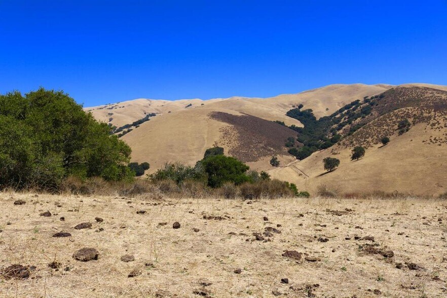 More Photos Of 32800 Johnson Canyon Rd, Gonzales Land For Sale