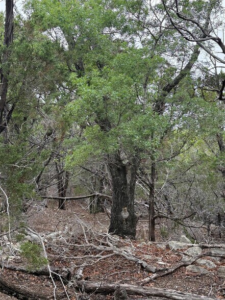 More Photos Of 0000 Lakehurst Rd, Spicewood Land For Sale