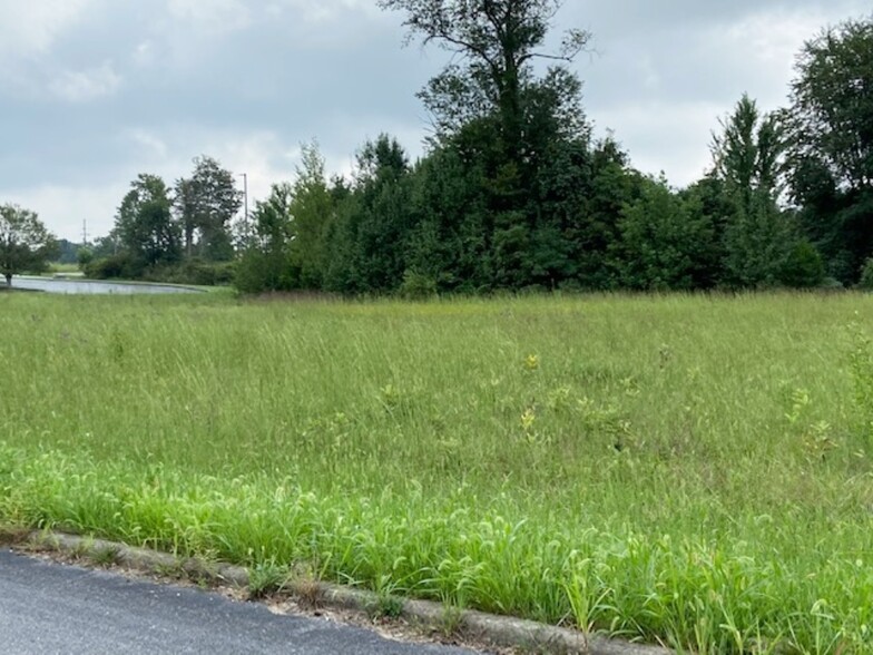 Primary Photo Of HWY 135, New Salisbury Land For Sale