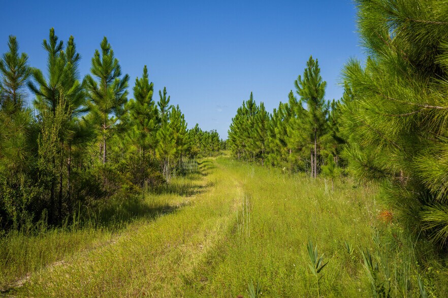 More Photos Of 0 John Pitts rd, Panama City Land For Sale