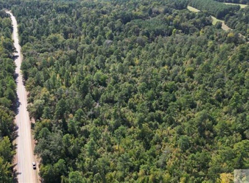 Primary Photo Of TBD County Road 4122 and Texas 43 hwy, Atlanta Land For Sale