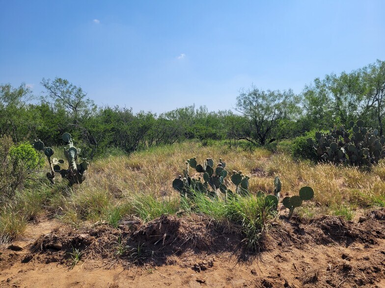 More Photos Of , Laredo Land For Sale