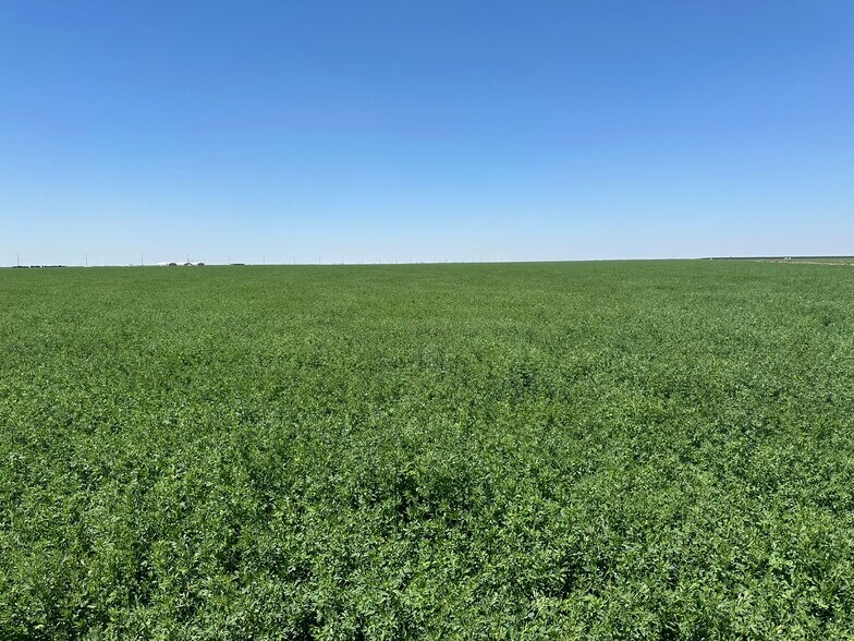 More Photos Of 29922 Mountain View ave, Cantua Creek Land For Sale