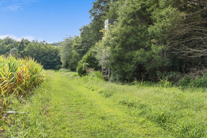 More Photos Of 2942 Newman Rd, Ardmore Land For Sale