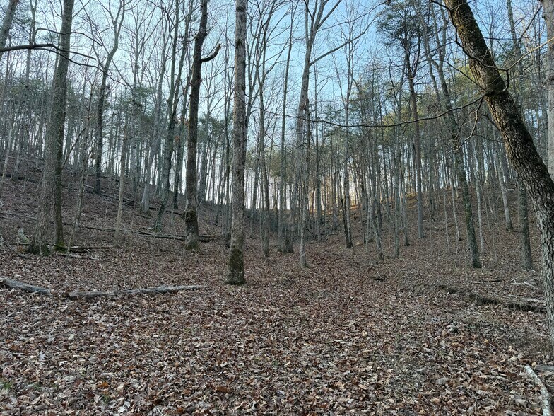 More Photos Of 260 Arnold Rd NE, Fairmount Land For Sale