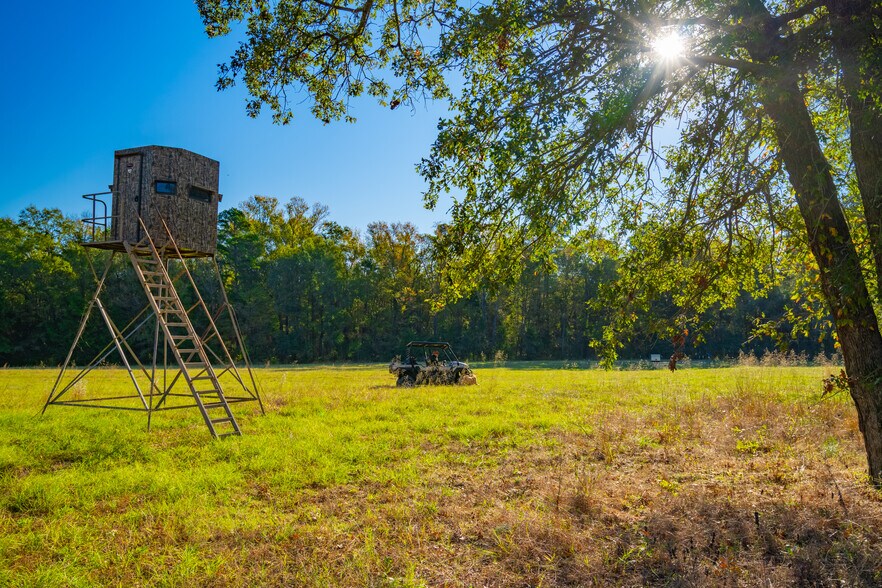 More Photos Of 391 Farm to Market 1519, Scroggins Land For Sale