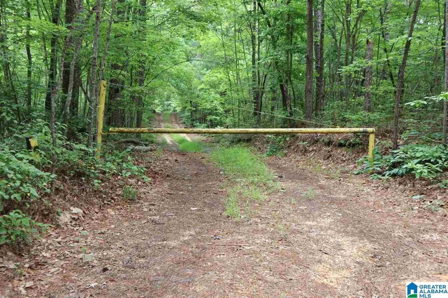 More Photos Of 0 County Rd 61, Fruithurst Land For Sale