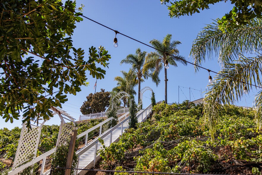 More Photos Of 2286 Sunshine Mountain Rd, San Marcos Winery Vineyard For Sale